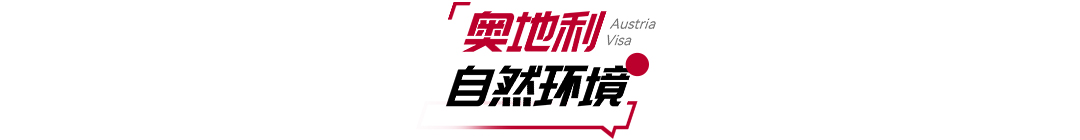 资讯-2.jpg